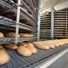 Phoenix Corporation | Spiral Conveyor Belt